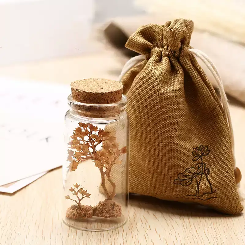 Wishing Bottle Cork Picture