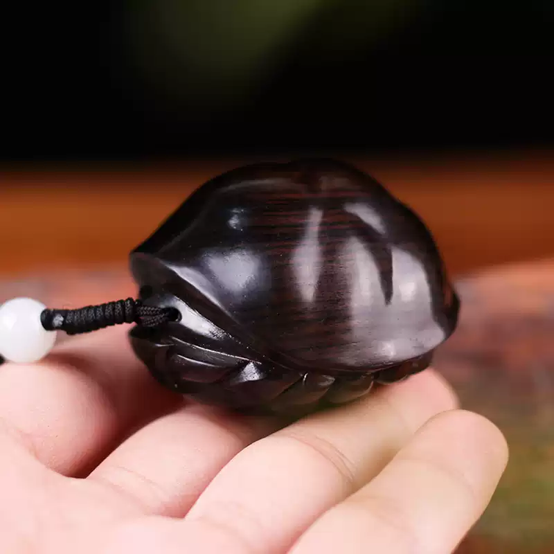 Wooden Carved Turtle