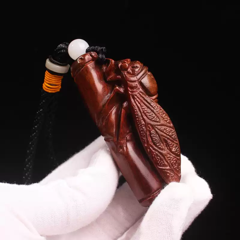 Red Wood Cicada