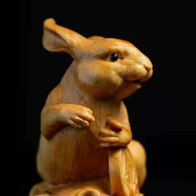Cute Rabbit - Image 2